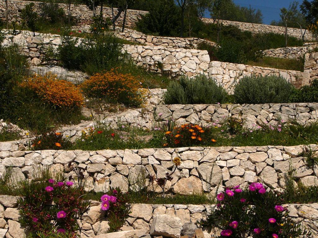 Monte SantʼAngelo Villa In Gargano - Villa Basso מראה חיצוני תמונה
