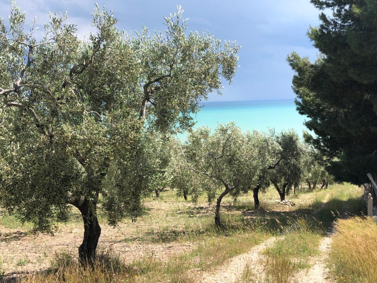 Monte SantʼAngelo Villa In Gargano - Villa Basso מראה חיצוני תמונה